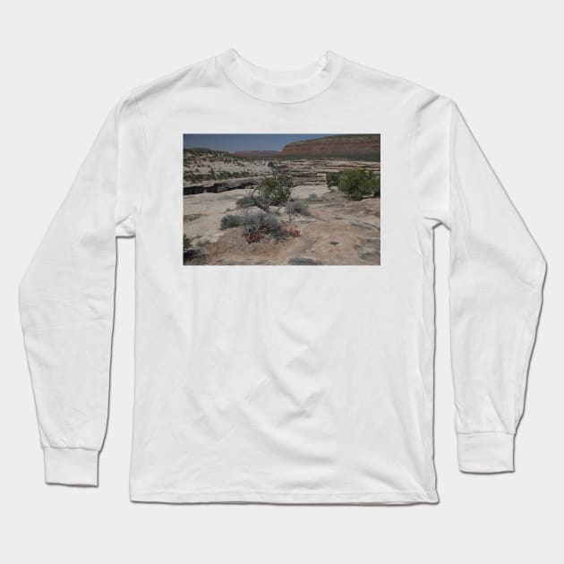 850_3869 Long Sleeve T-Shirt by wgcosby